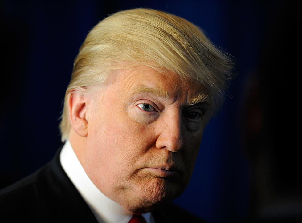 20 Things That Look Like Donald Trump’s Hair