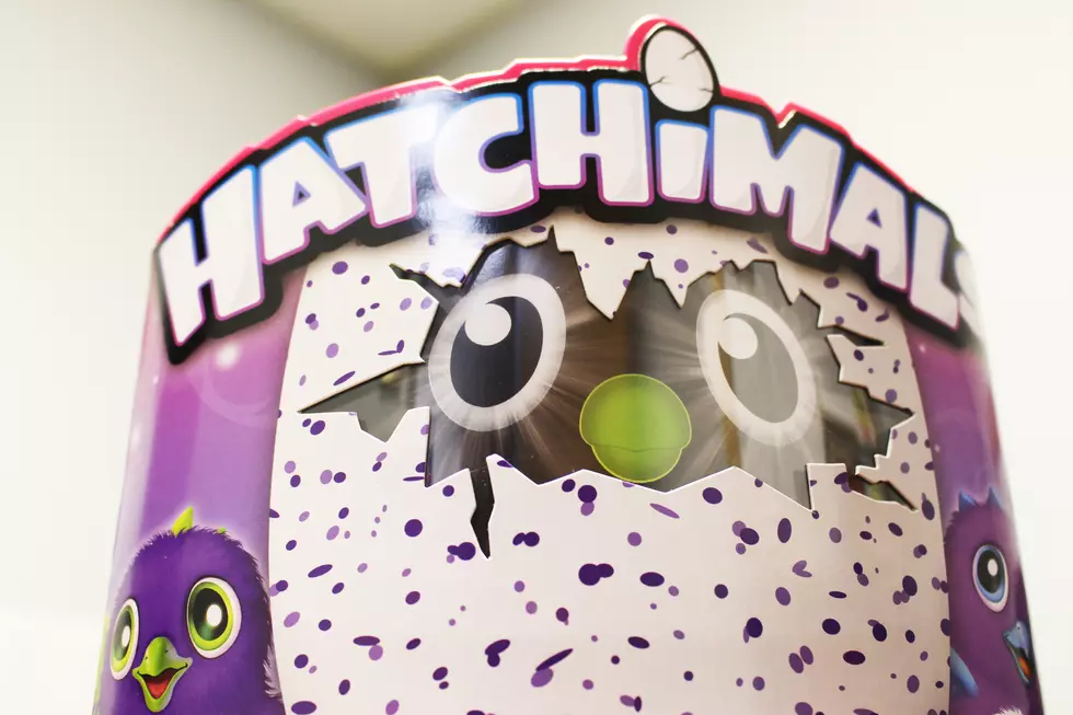 5 Things Not to say to Santa if he Brings you a Hatchimal