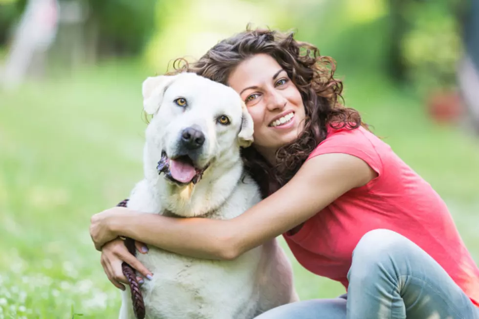 Do You Take More Pictures Of Your Dog Or Spouse?