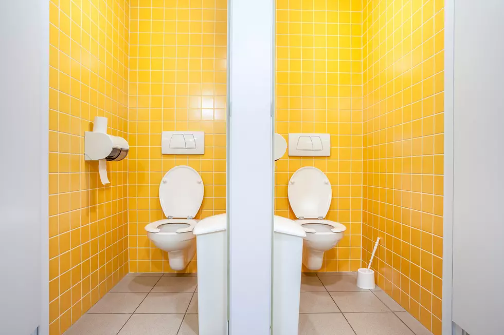 Wisconsin Serial Public Toilet Clogger Is Finally Arrested