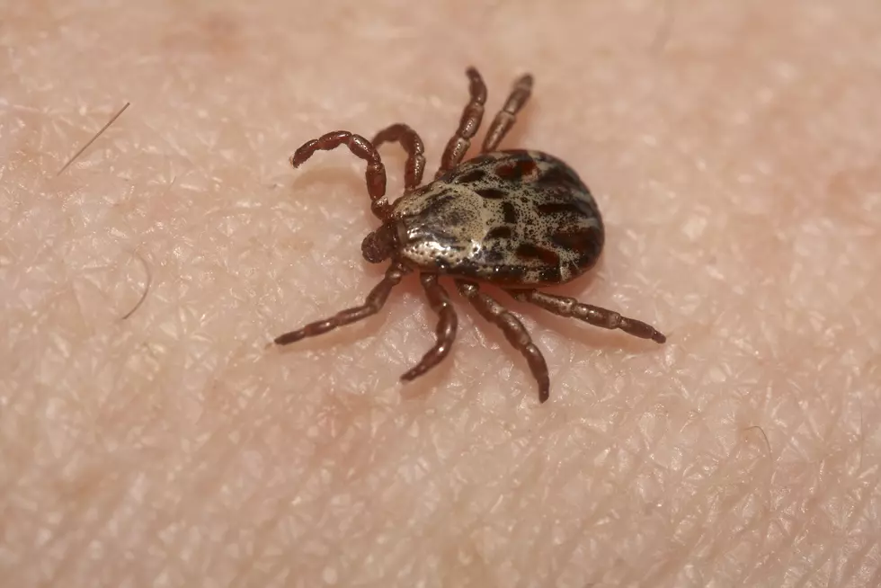 Cases of Lyme Disease Reported in Ogle County