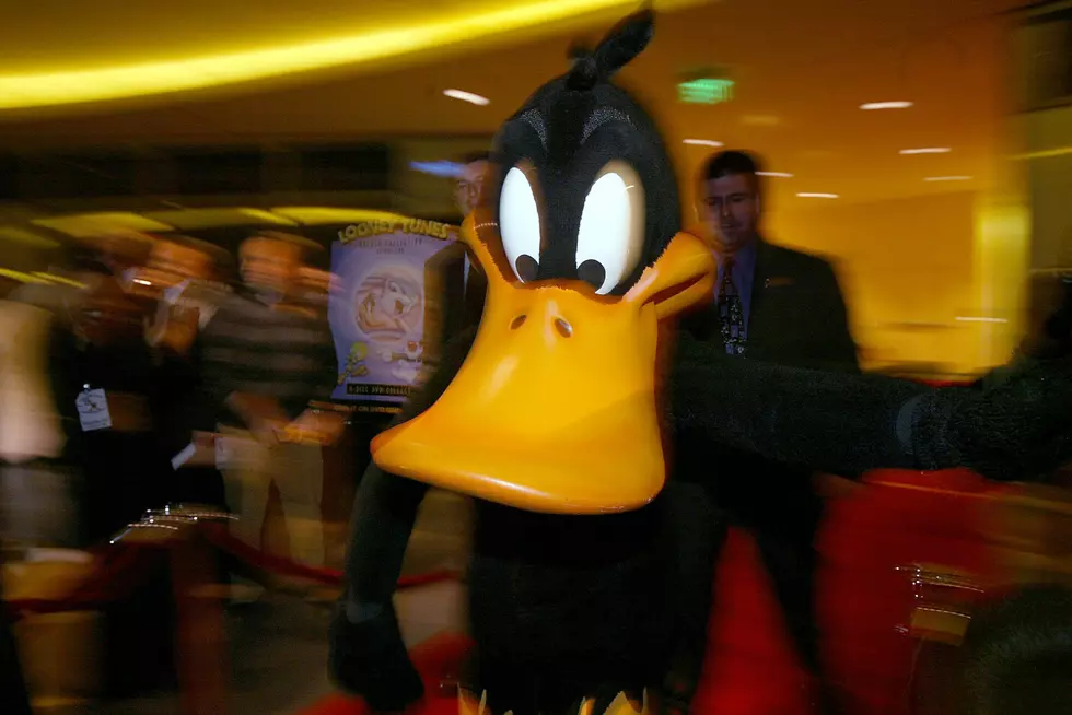 Drunk Man Attack Daffy at Six Flags