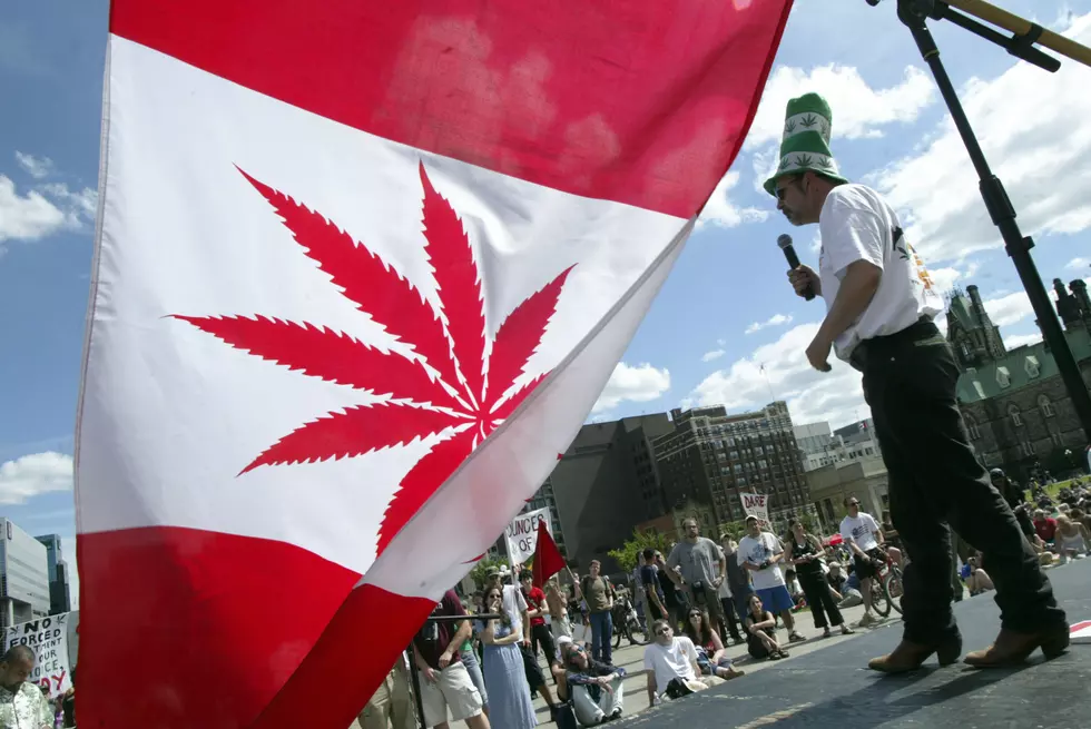 Weed Is Now Legal In Canada Here's How To Become A Citizen
