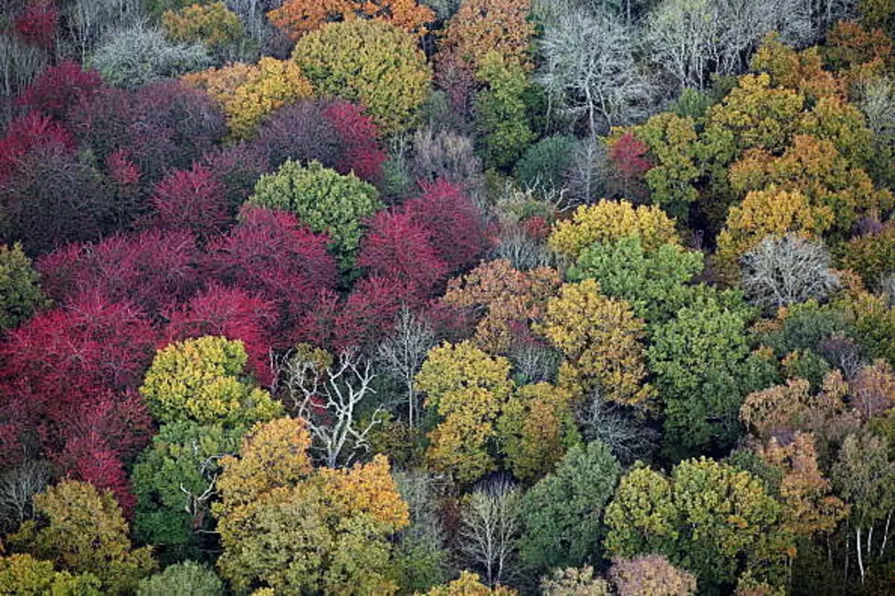 Five Ways a Northern Illinois Fall Can Be Deadly