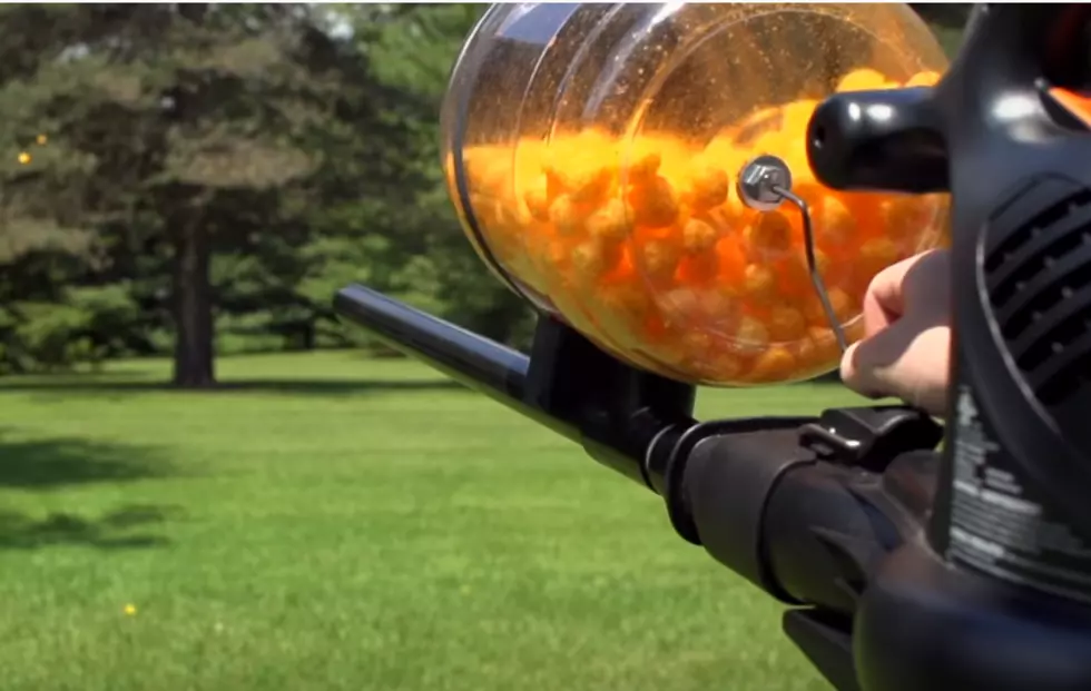 The Cheese Ball Machine Gun, This Rules (Video)