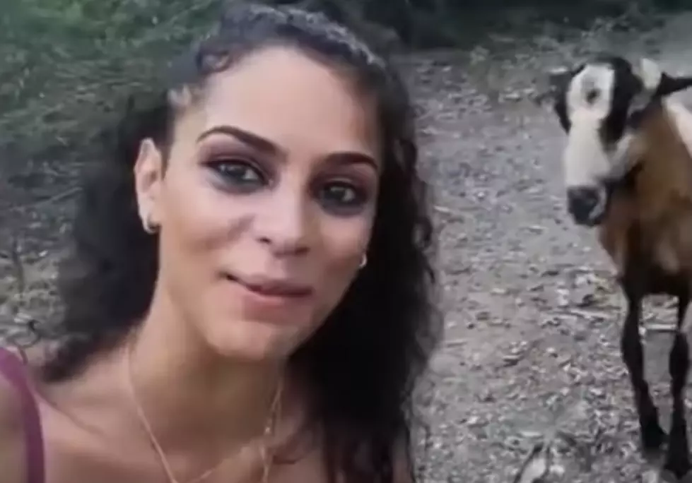 Woman Headbutted by Goat (Video)
