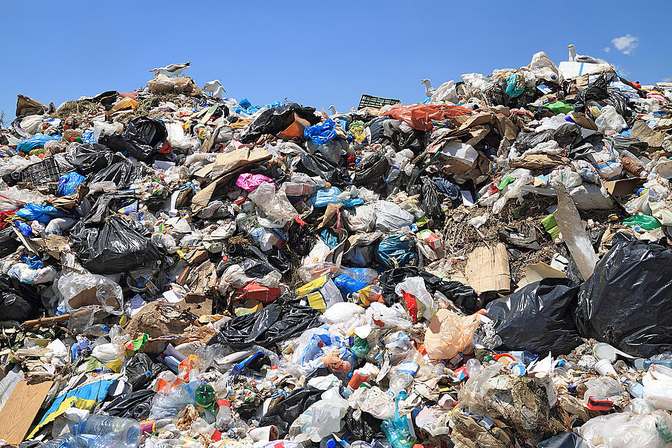 Landfill Too Stinky For You? Here's What to do.