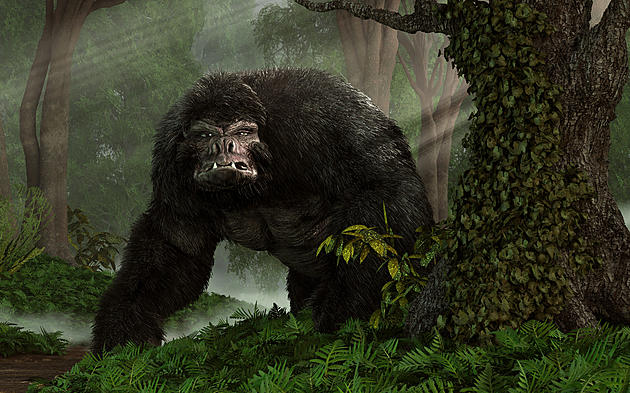 Bigfoot Could Exist According To New TV Show’s Research