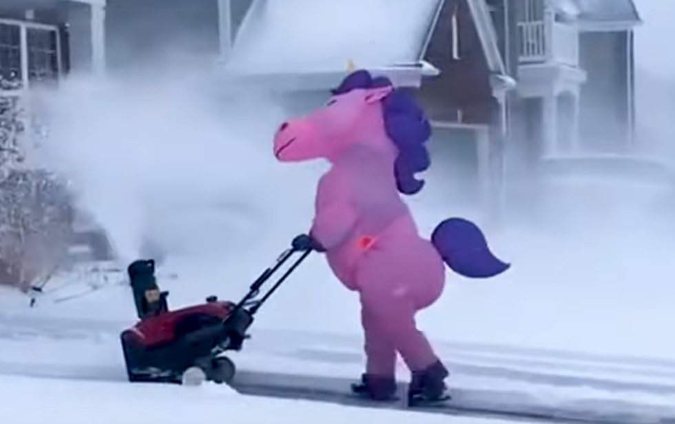 An Early Spring is Coming Rockford, But if it Snows Again Get a Unicorn (Video)