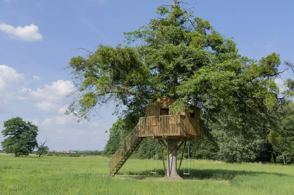 Spend The Night In A Custom Treehouse Not Far From Rockford