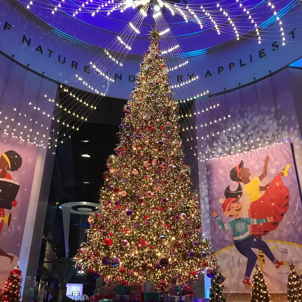 Chicago Museum Offers Virtual Tour Of Famous Christmas Exhibit