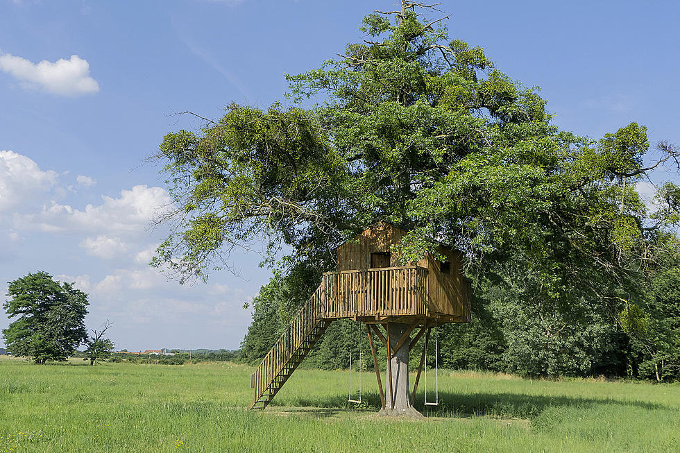 You Can Stay the Night in a Treehouse and Smoke Pot, Two Hours from Kalamazoo