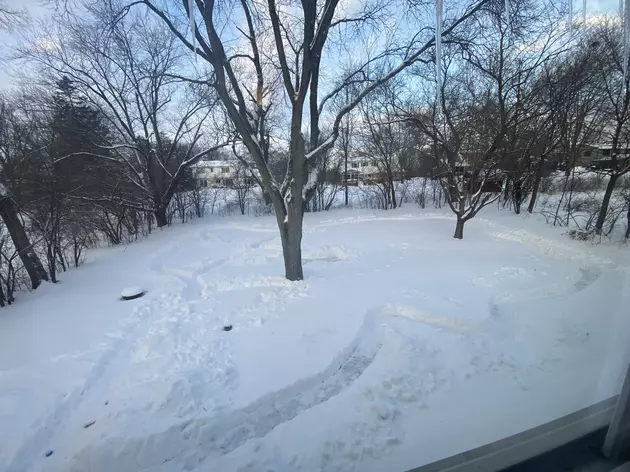 Illinois Man Digs Out Snow Race Track For His Daughter&#8217;s Dog
