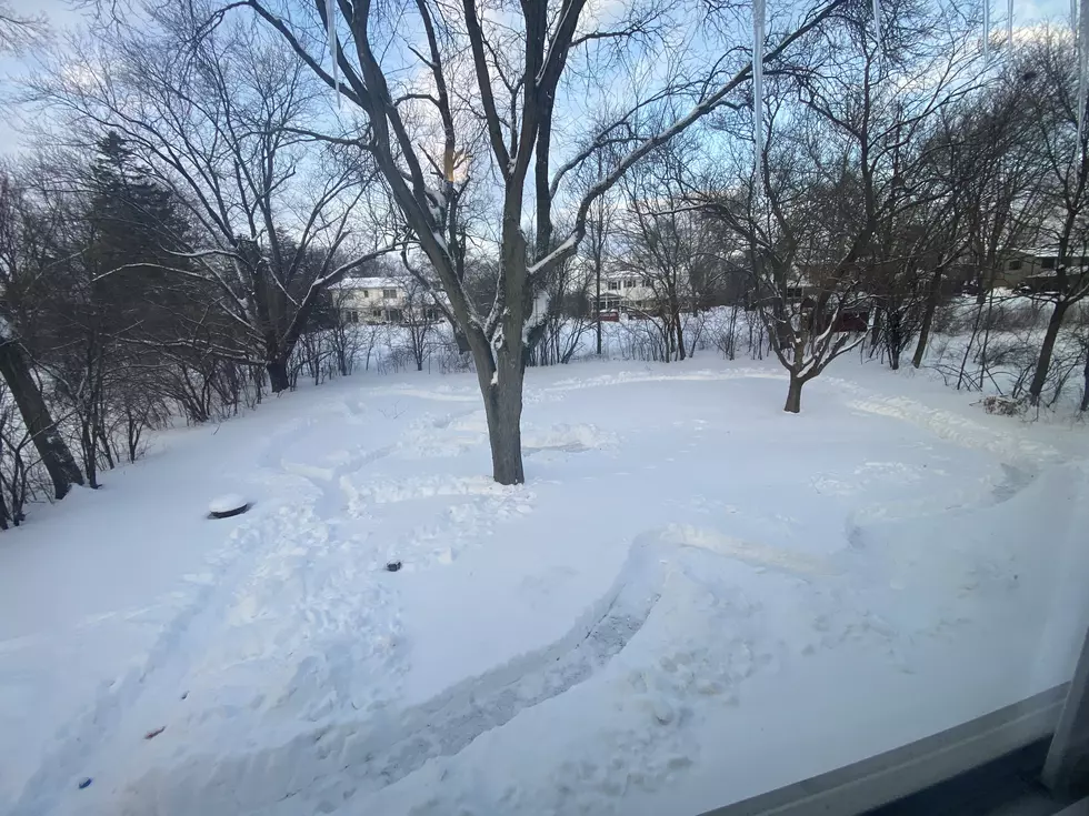 Illinois Man Digs Out Snow Race Track For His Daughter's Dog
