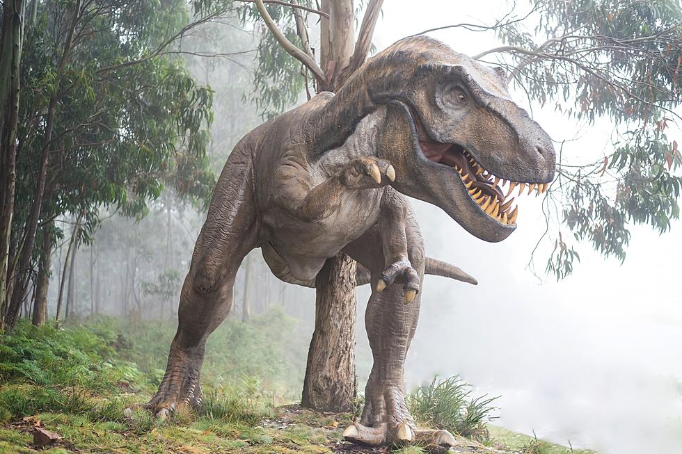 Milwaukee Is Hosting Drive-Thru Dinosaur Exhibit