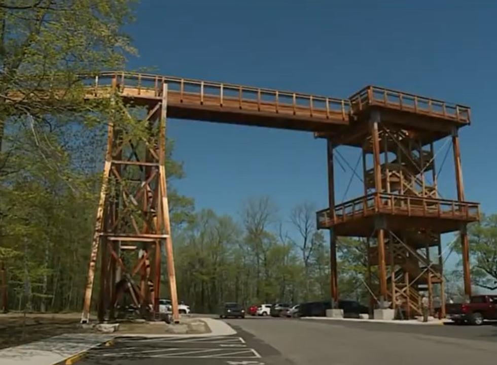 Why Are Millions Of People Visiting Eagle Tower In Door County?