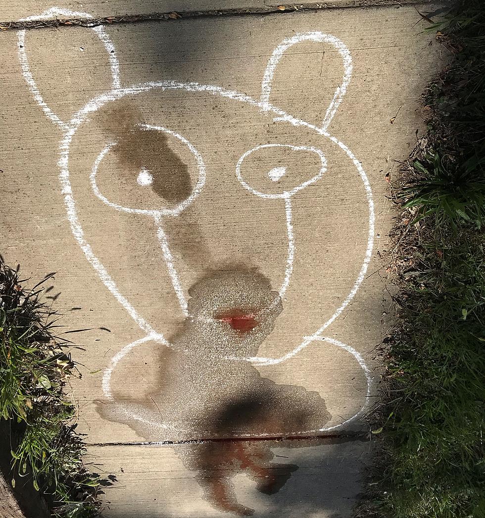 Beware This Sidewalk Chalk Drawing In Rockford Is Really Freaky