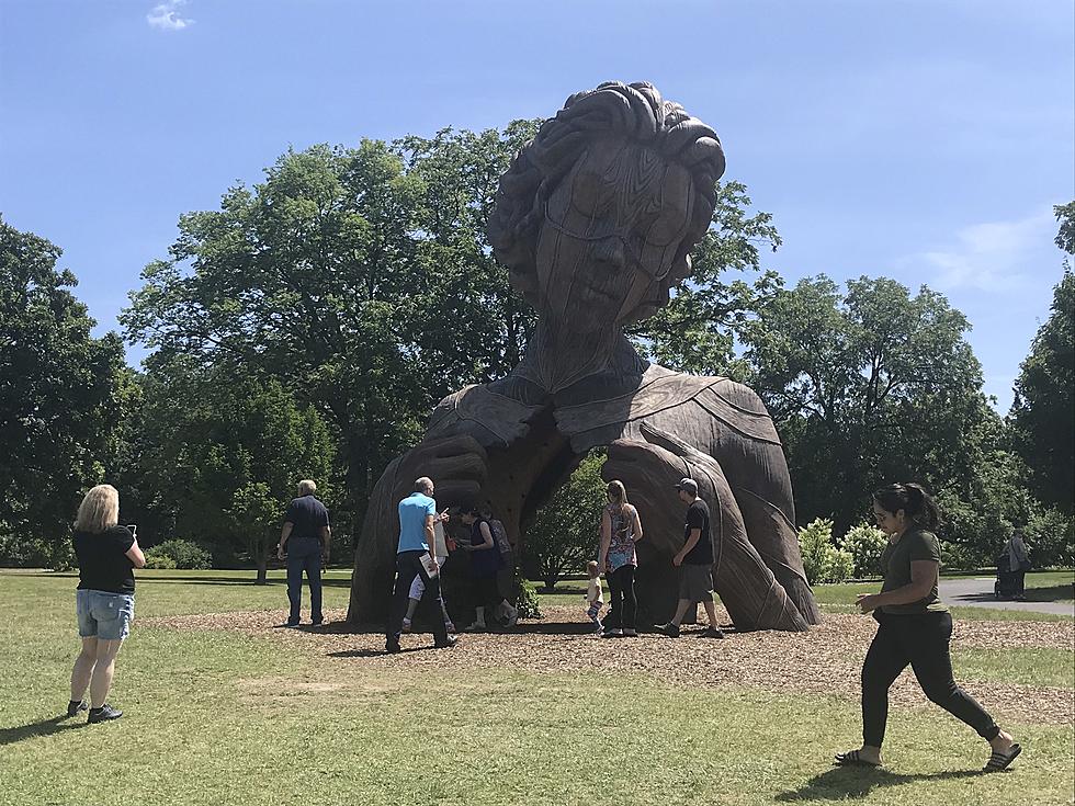 Human Sculptures This Big Have Never Been Seen In Illinois Before