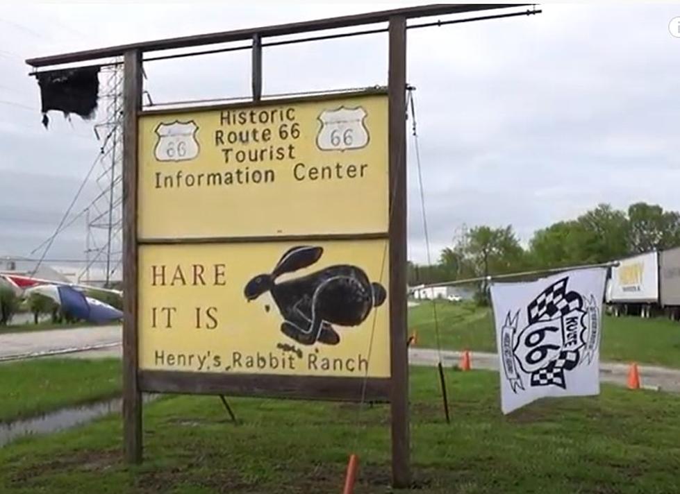 A Legendary Roadside Attraction In Illinois Is A Rabbit Ranch
