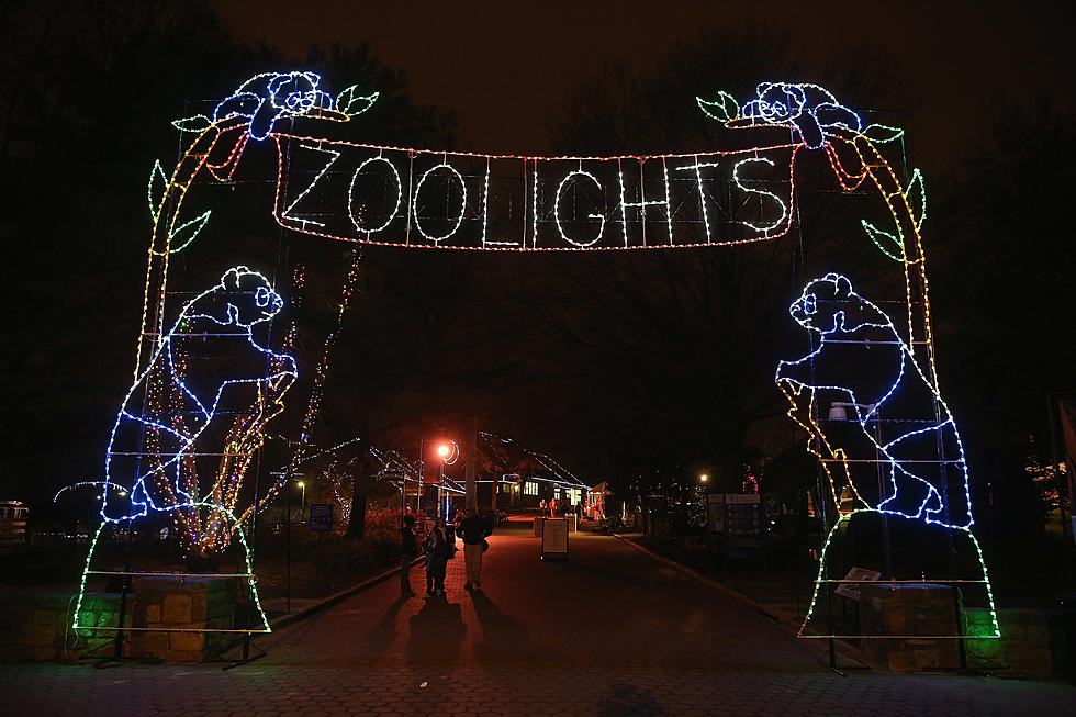 Illinois Residents Excited About 5 Different Holiday Zoo Lights