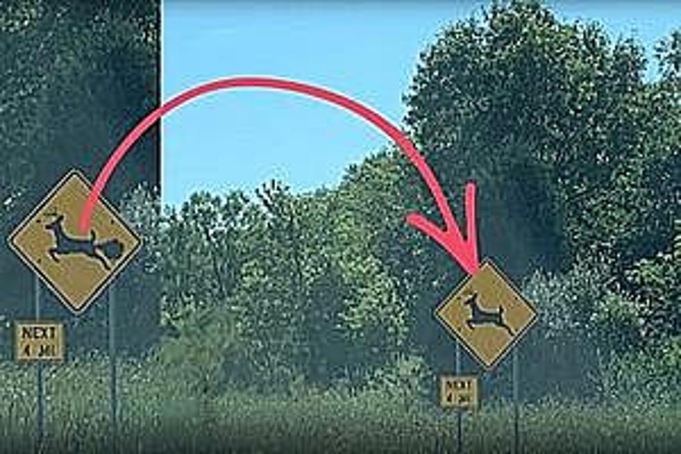 Are There ‘Farting Deer’ Signs in Illinois?