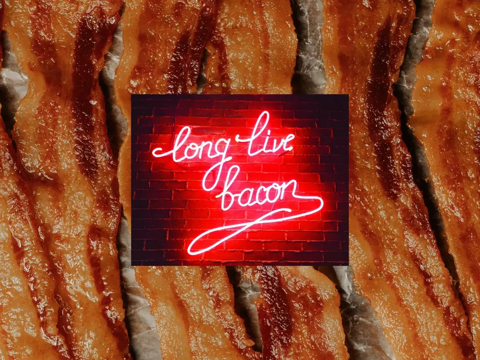 Bacon Fest... Arguably Best Food Fest In Wisconsin This Weekend