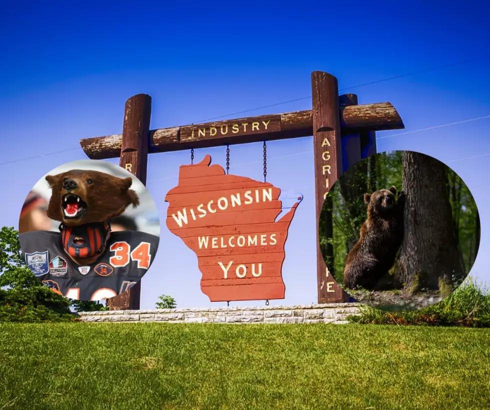 Wisconsin Has Issue With Bears And Not The Kind From Chicago