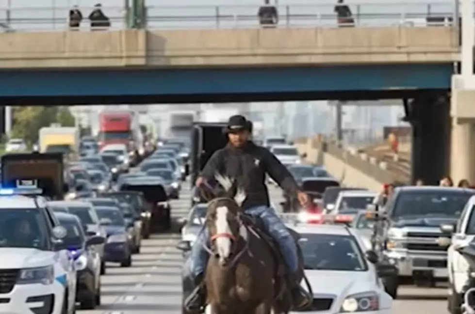 One Year Ago This Illinois Man Rode a Horse on the Dan Ryan Expressway