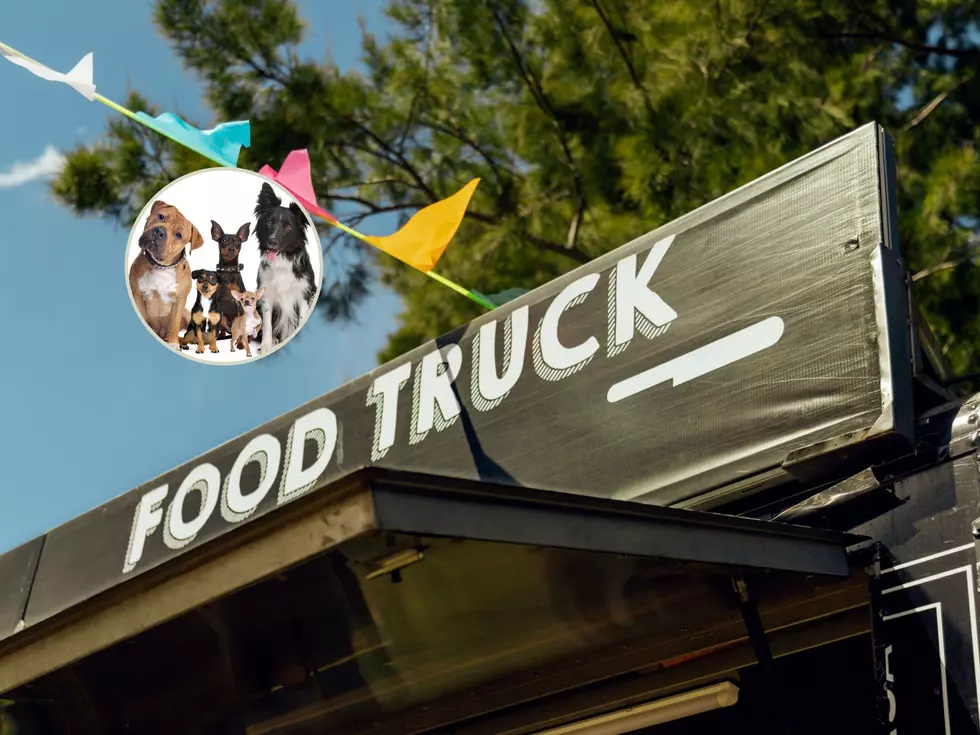 New Food Truck For Dogs In Wisconsin Because Pets Need To Eat Too