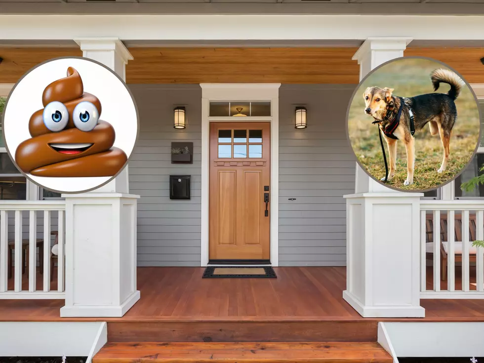 Illinois Woman Put Dog Poop On Neighbor's Porch To Teach A Lesson