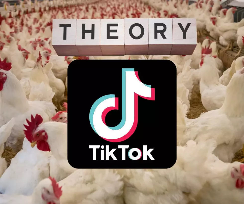 Hey Illinois, TikTok Video Goes Viral. ‘Egg Price Conspiracy Theory’ is Factual!