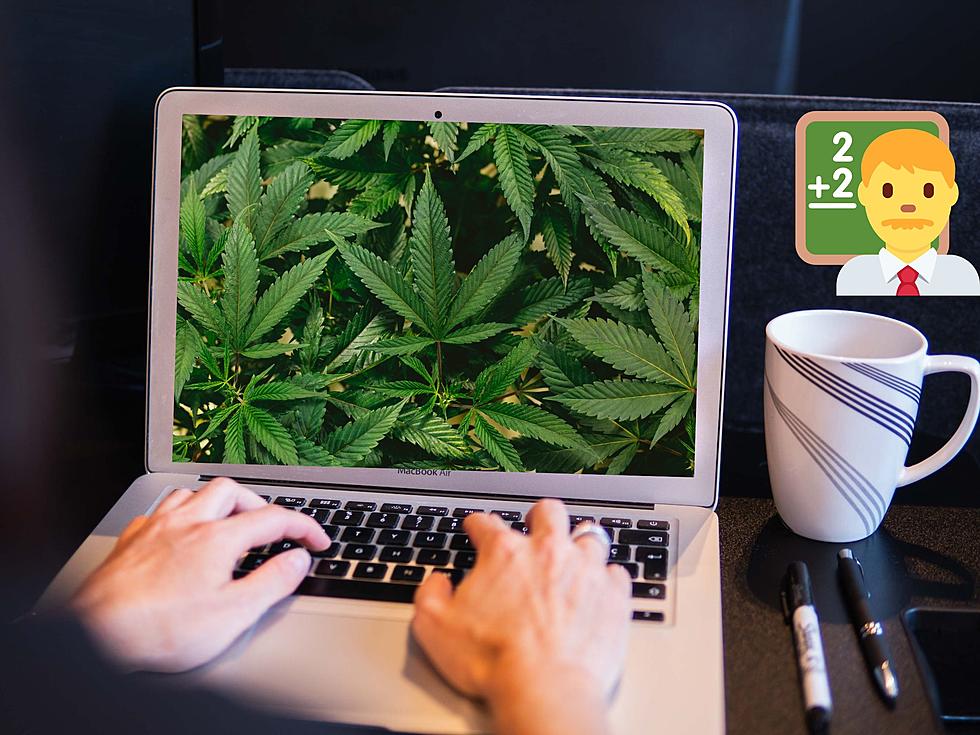 Learn About Legal Pot Business With Online Classes At IL College