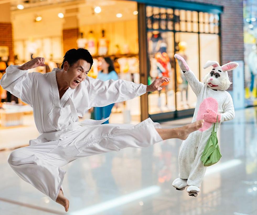 Wisconsin Bully Beat up a Mall Easter Bunny For Fun