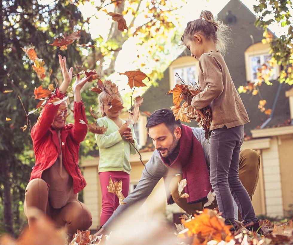 5 Quintessential Characteristics IL Residents Love About Fall