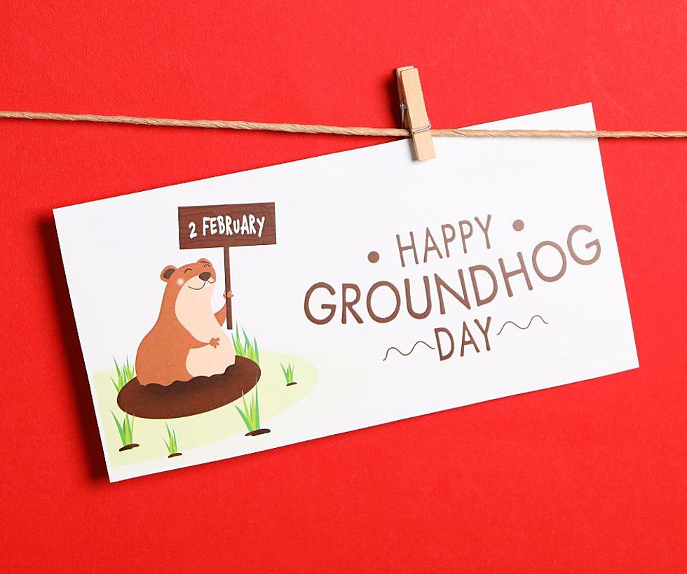 5 Popular Ways To Celebrate Groundhog Day In Illinois