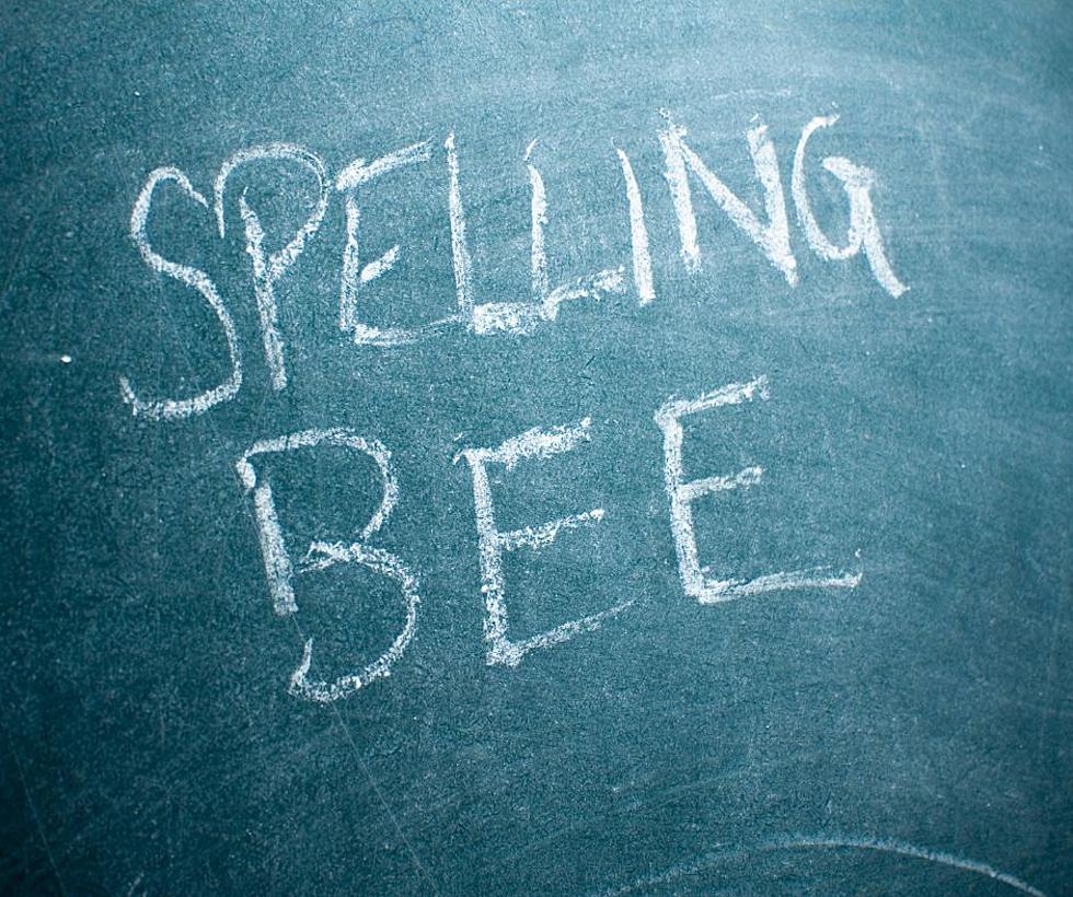 The Popular Adult Spelling Bee Is Returning To Wisconsin