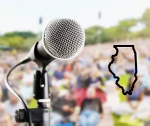 5 Best Places For Outdoor Summer Concerts In Illinois
