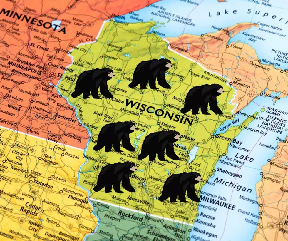 Black Bear Sightings Are Already Starting In Southern Wisconsin