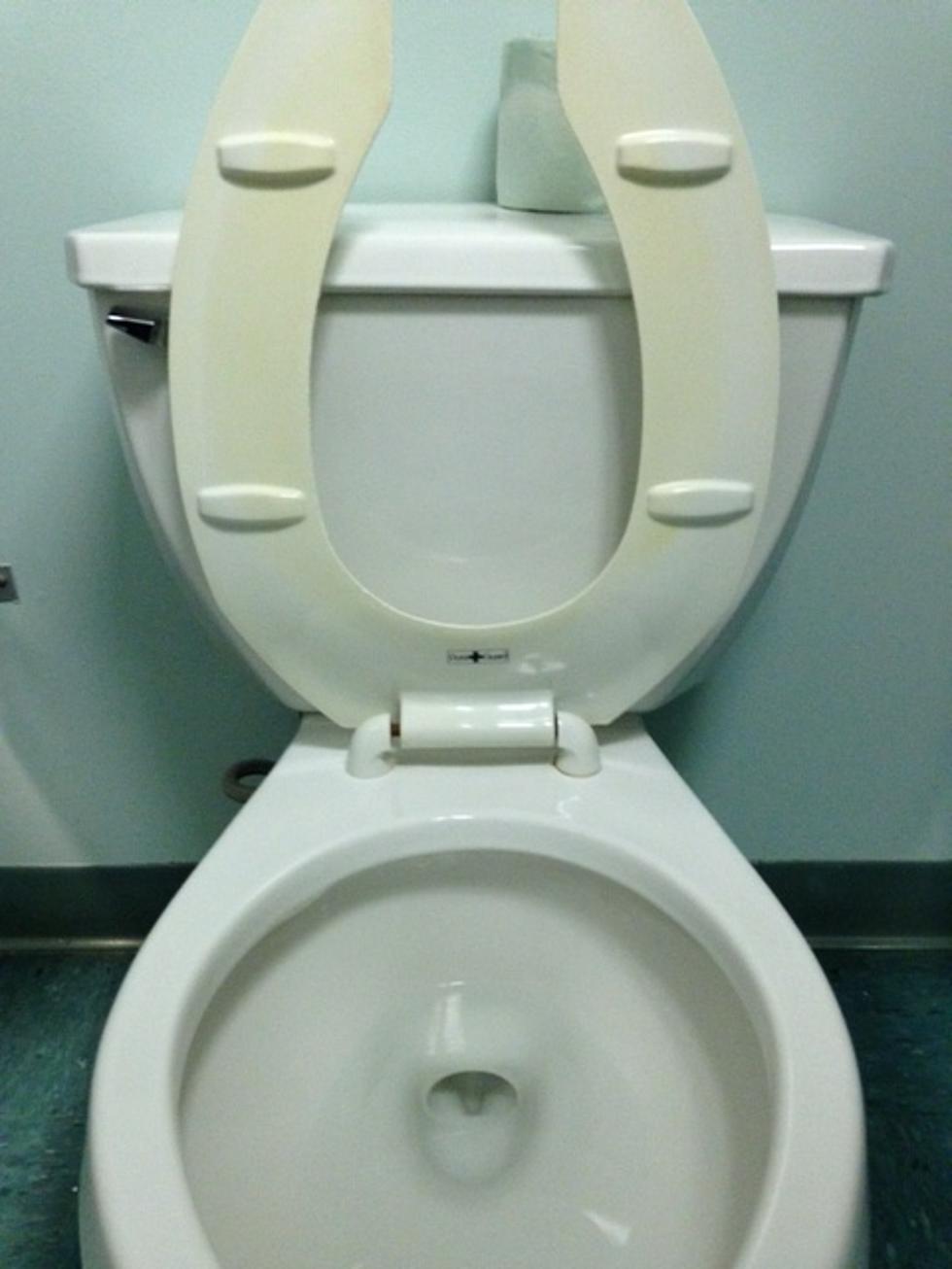 DIY - Unclog Toilet