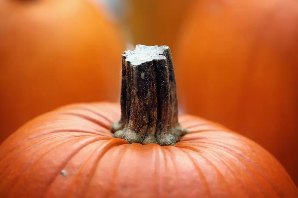 Make a Beer Keg Out of a Pumpkin