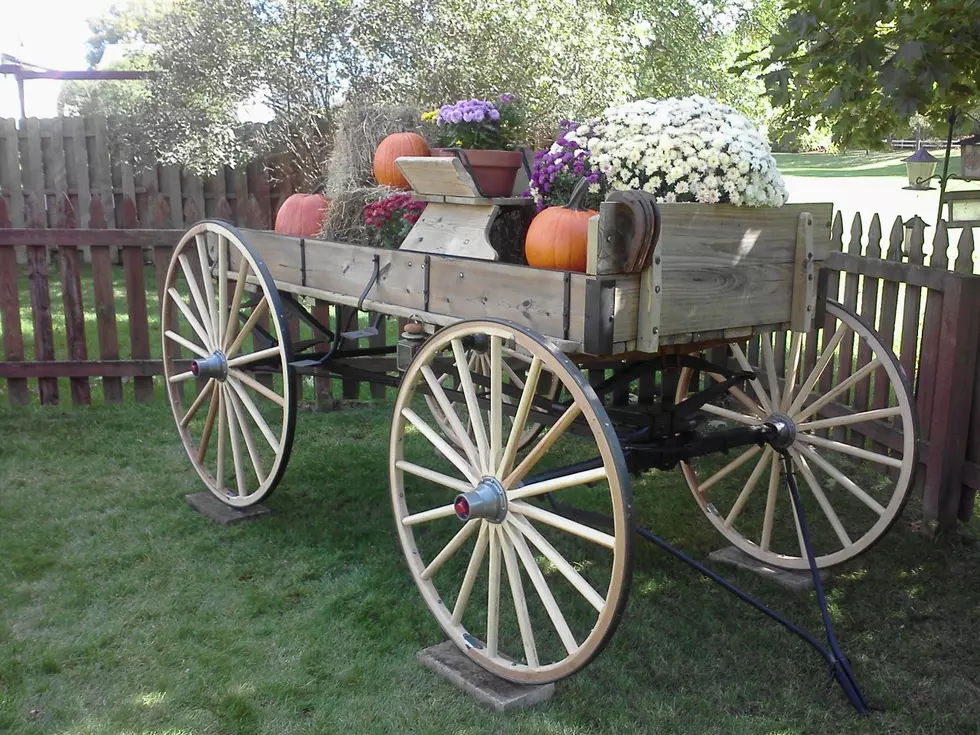 My Wagon Project Completed