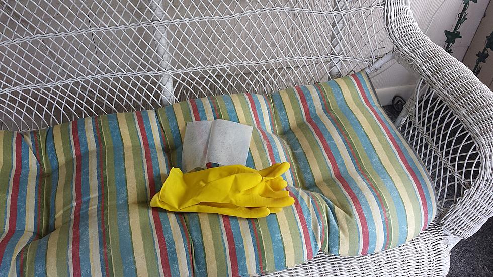 Two Methods to Easily Clean your Patio Cushions [Video]