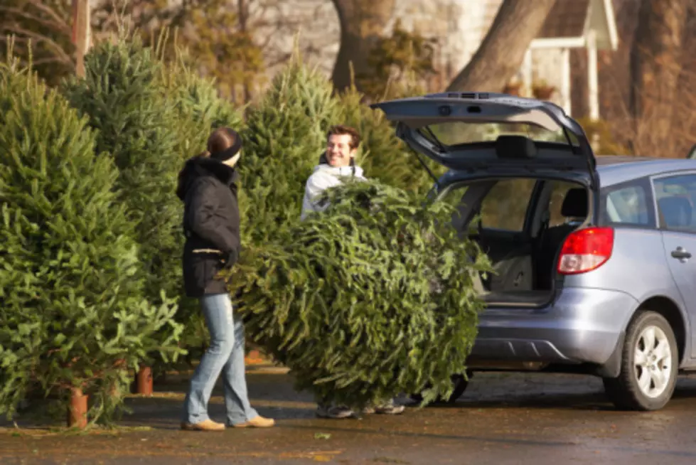 Christmas Tree Recycling Locations