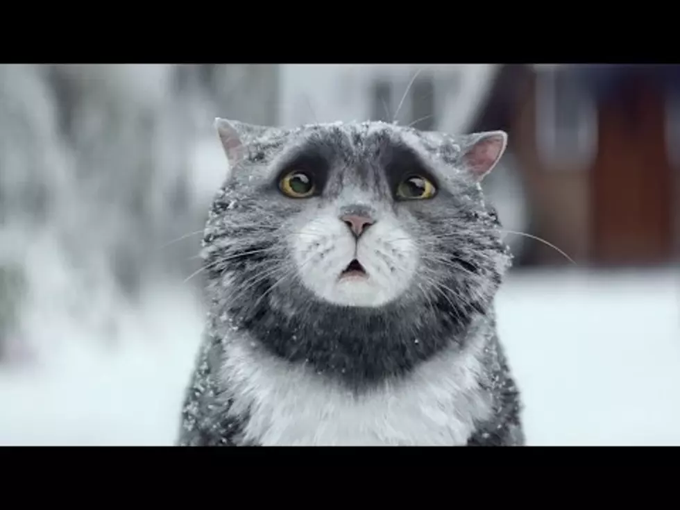 This is said to be the Best Christmas Ad this Season [Video]