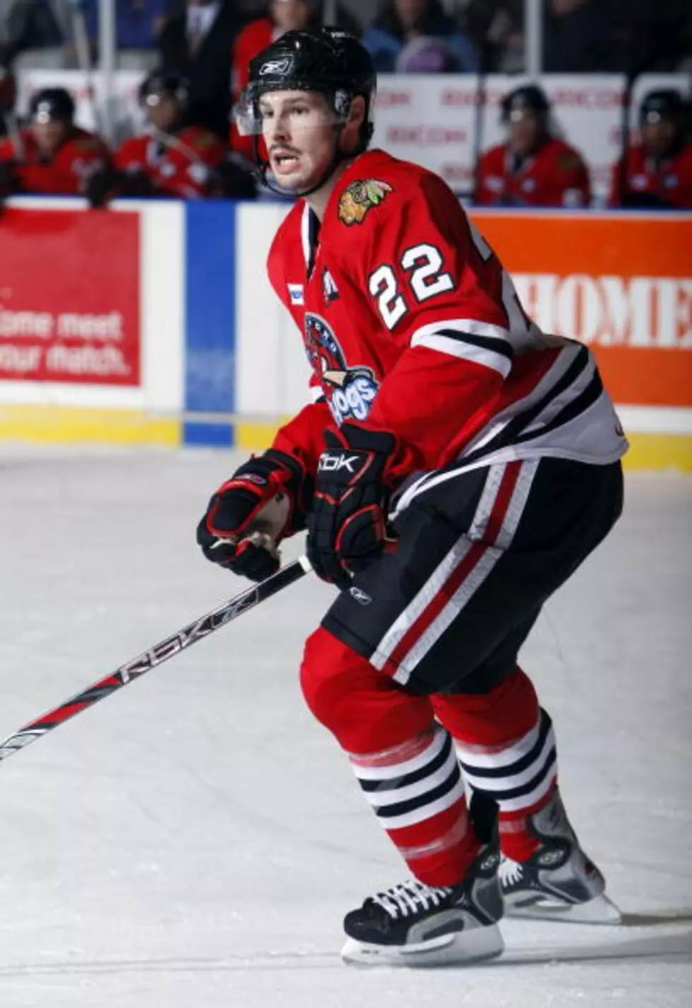 Rockford IceHogs Offering Discounted Tickets for 815 Day