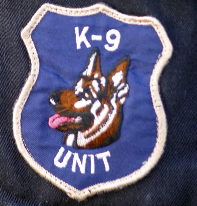 Janesville&#8217;s First K9 Dog Passes Away