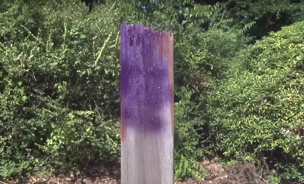 Purple Fence Post Warning
