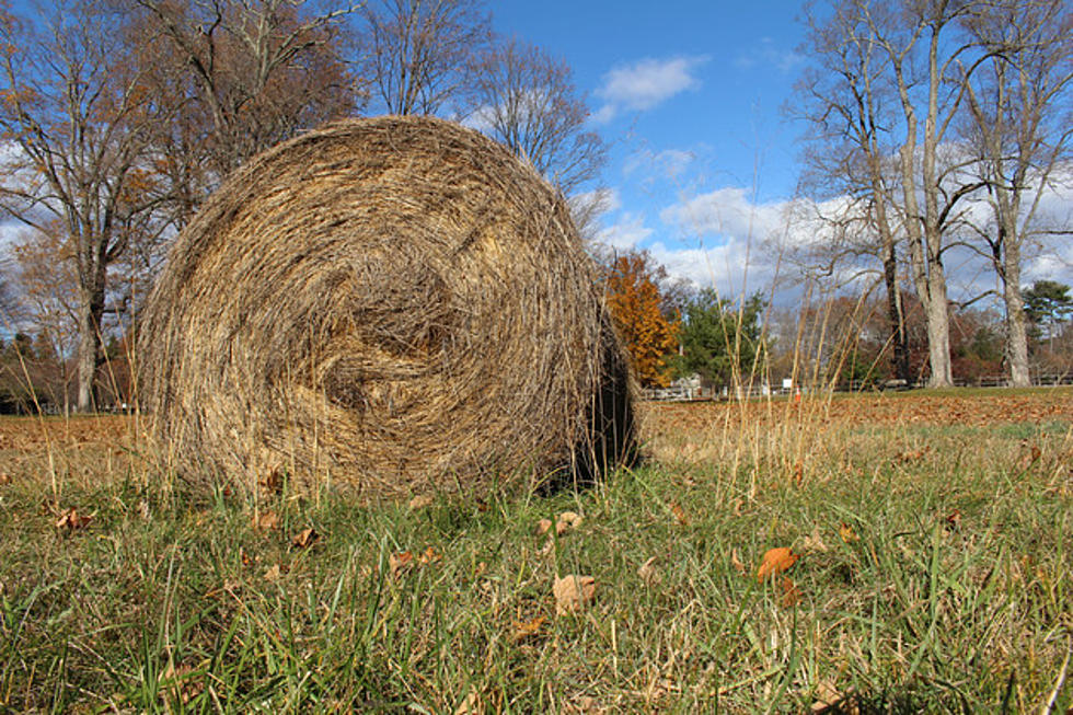 It's all about Hay
