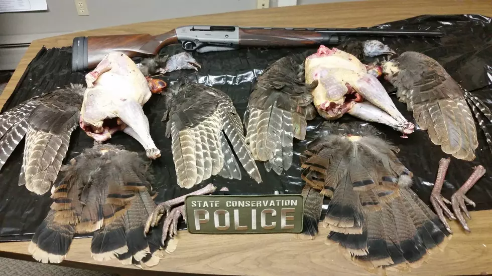 Turkey Poachers Nabbed in Northern Illinois