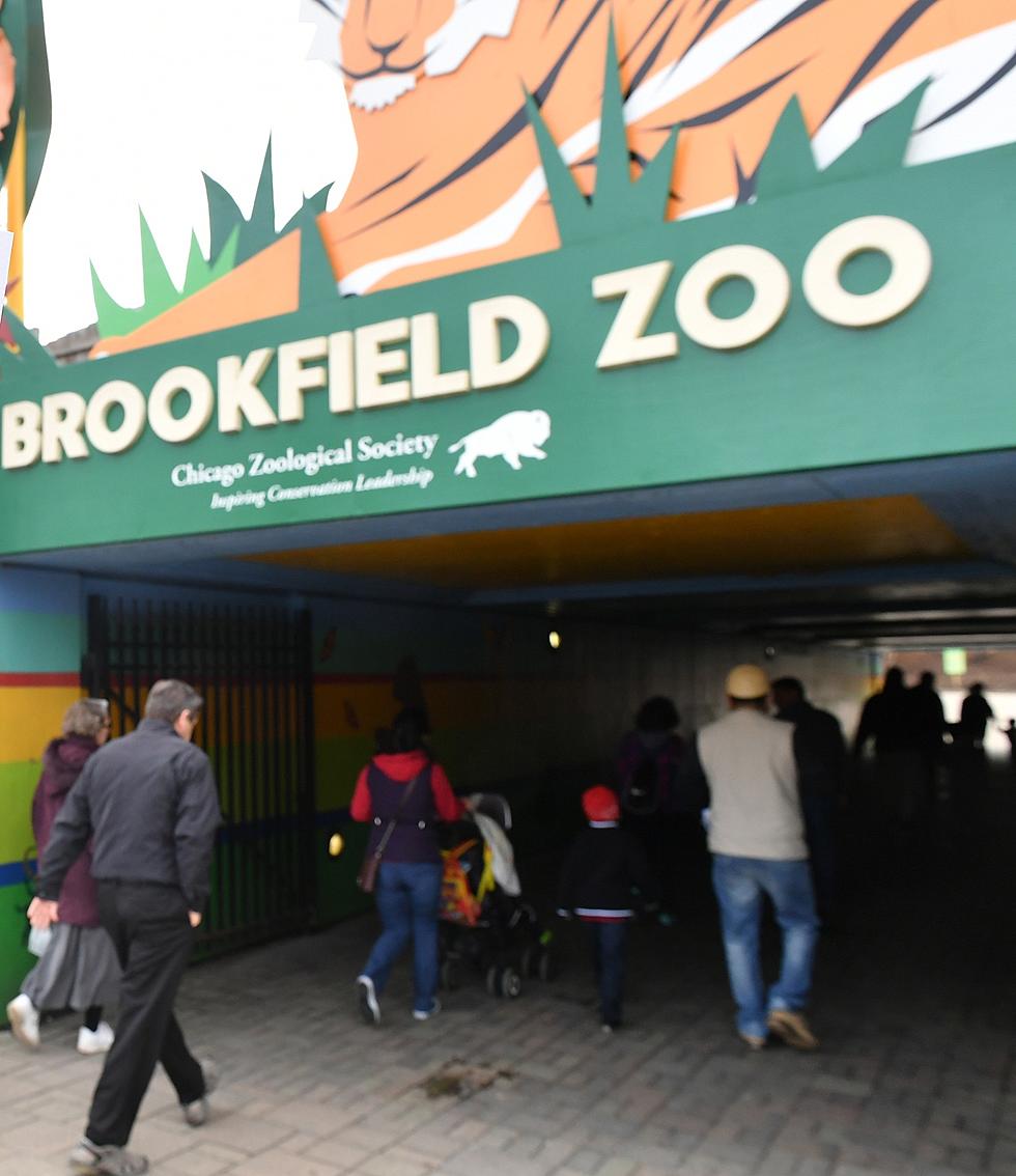Potential Violence Turns a Fun Day At Illinois&#8217; Brookfield Zoo Into a Nightmare
